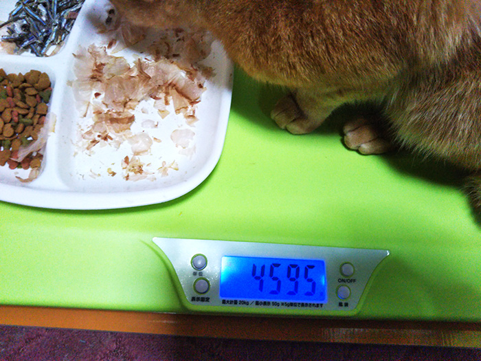 猫の体重計ペットくん-画像3