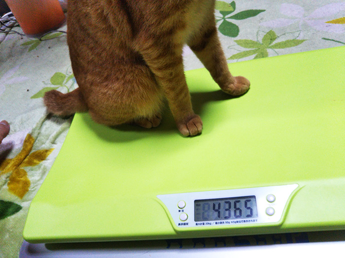 猫の体重計ペットくん-画像4