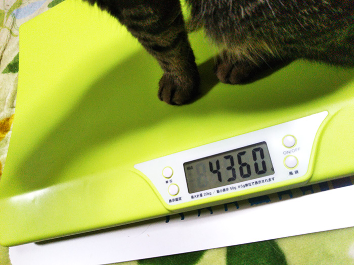 猫の体重計ペットくん-画像5